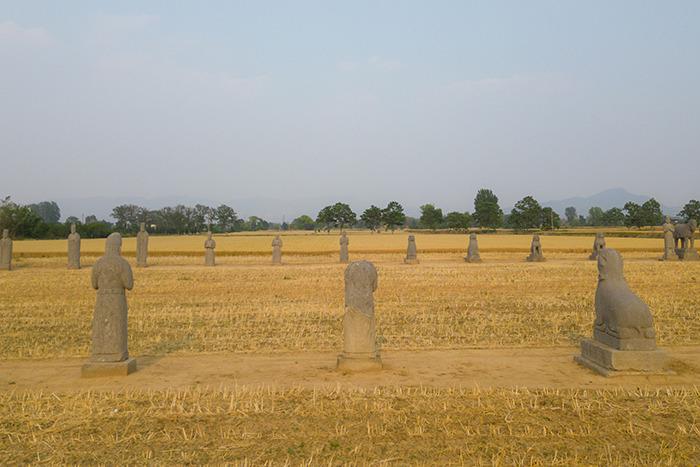 河南巩义北宋皇陵小麦金黄