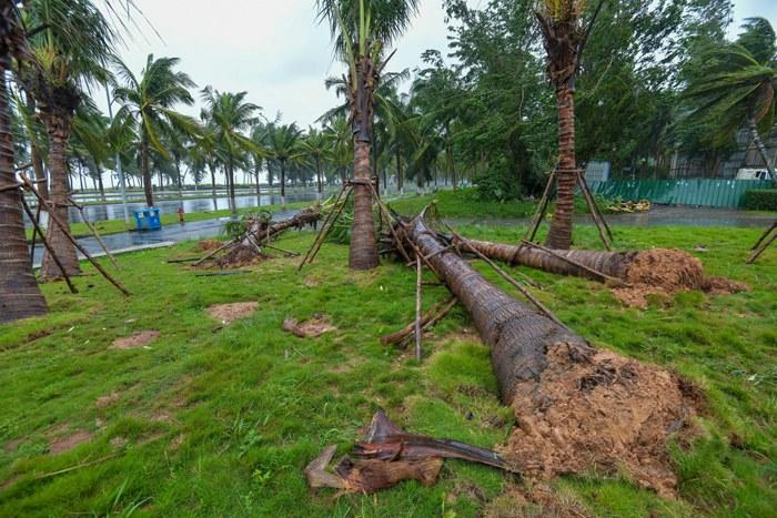 强台风“麦德姆”携强风雨影响?？?>
     <p>强台风“麦德姆”携强风雨影响?？?/p>
</a><a href=