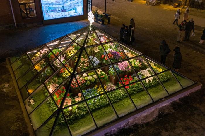 哈尔滨再添浪漫风景 “玻璃花房”引游人