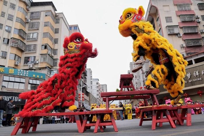 百头雄狮舞动广东南雄迎新春