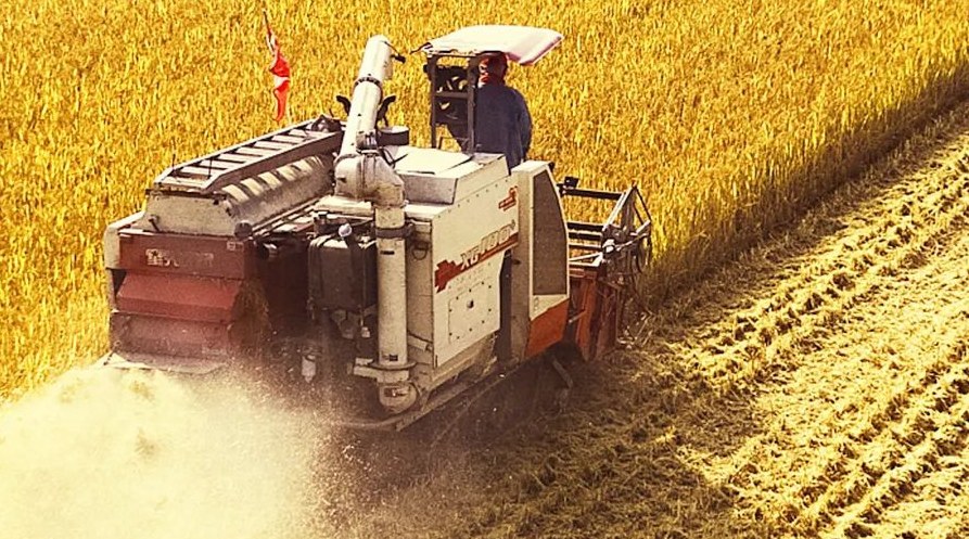 “察实情、办实事、求实效”，这十句话，振奋人心！