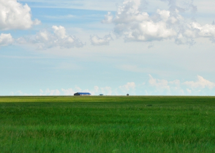 这个夏天，留一帧给“呼伦贝尔绿”