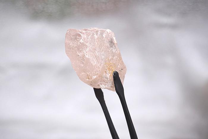 最大粉钻长啥样？